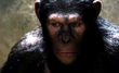 Andy Serkis interpreta a César en "El Planeta de los Simios" mediante la técnia de 'Motion Capture'