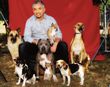 César Millán y los perros abandonados, ¿quieres uno?