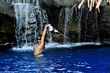 Rihanna haciendo topless en sus vacaciones