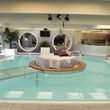 Una de las novedades es la lujosa piscina con una cama redonda en el centro Una de las novedades es la lujosa piscina con una cama redonda en el centro