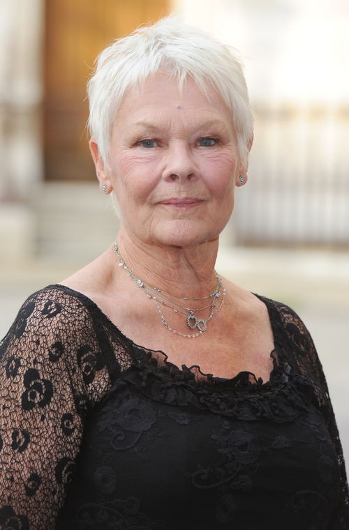 Judi Dench - La oscarizada actriz británica Judi Dench, de 77 años, podría perder la visión a causa de una enfermedad degenerativa Judi Dench - La oscarizada actriz británica Judi Dench, de 77 años, podría perder la visión a causa de una enfermedad degenerativa